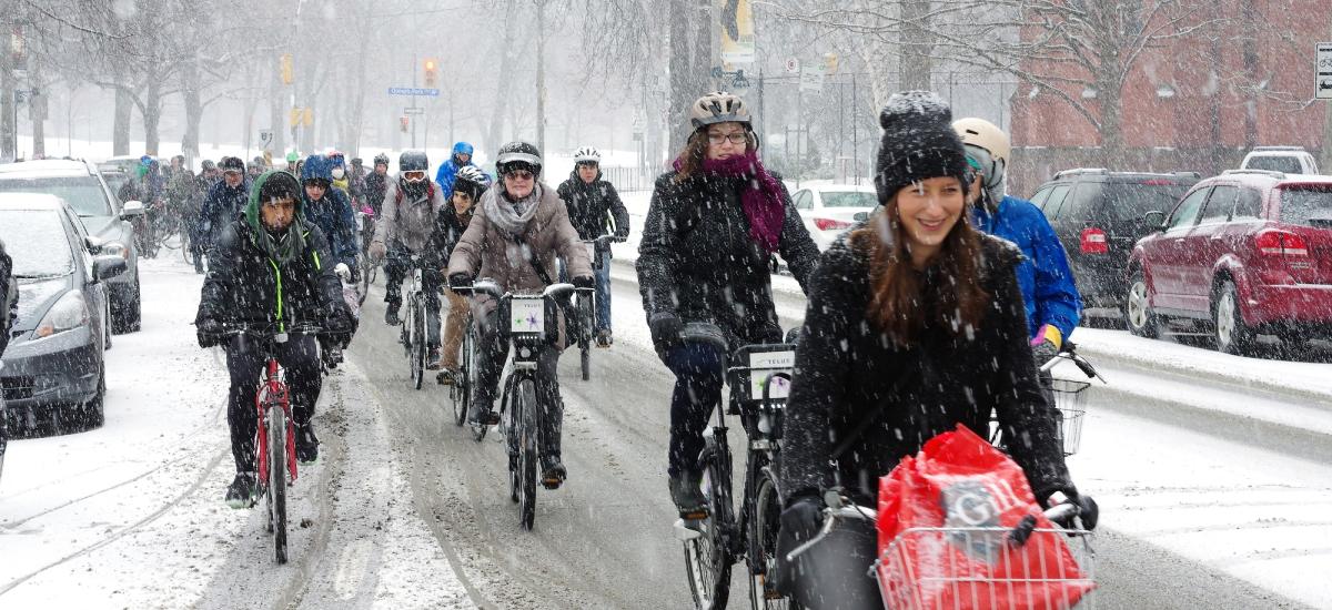 Many people ride bikes in the snow