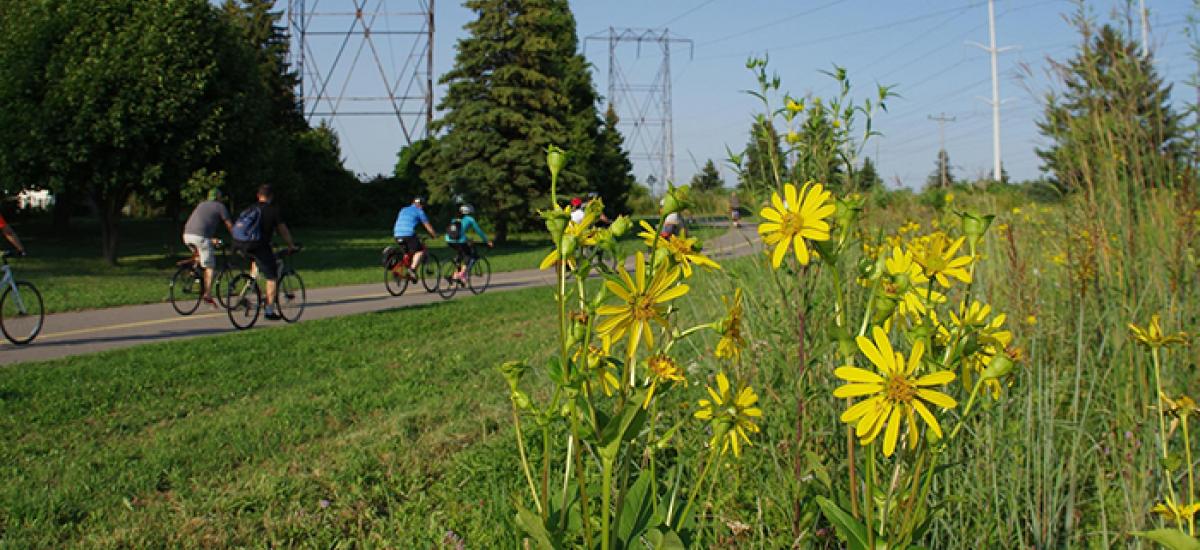 Cycling along the gatineau hydro corridor