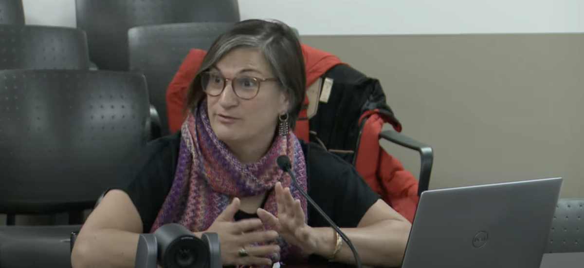 Woman speaking into microphone in committee room