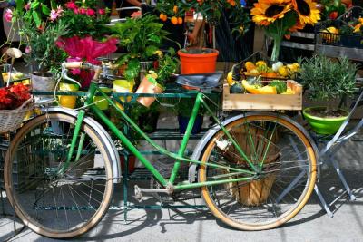 green bike at farmers' market