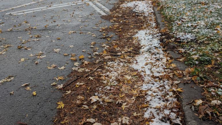 Leaves and snow clogging the edge of a small street.