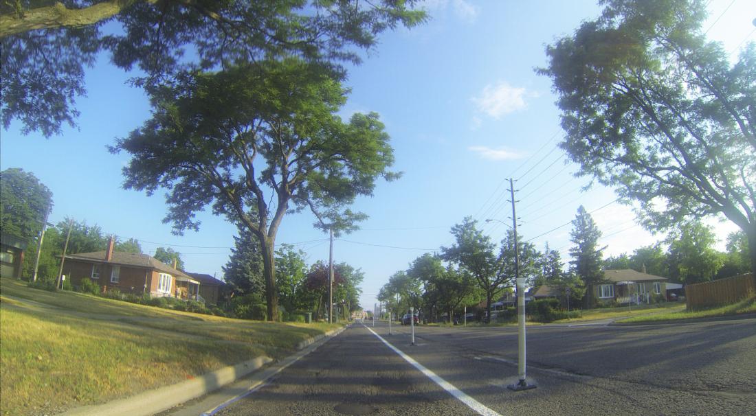 Bollards and a single line of paint separate a bike lane from traffic on a residential street