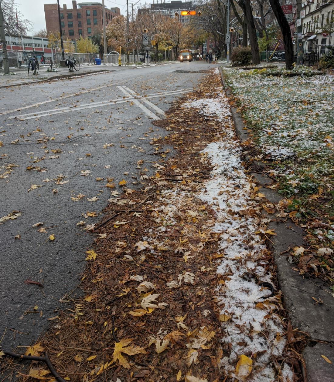 Leaves and snow clogging the edge of a small street.