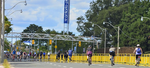 People riding bikes on Lake Shore W near Ontario Place