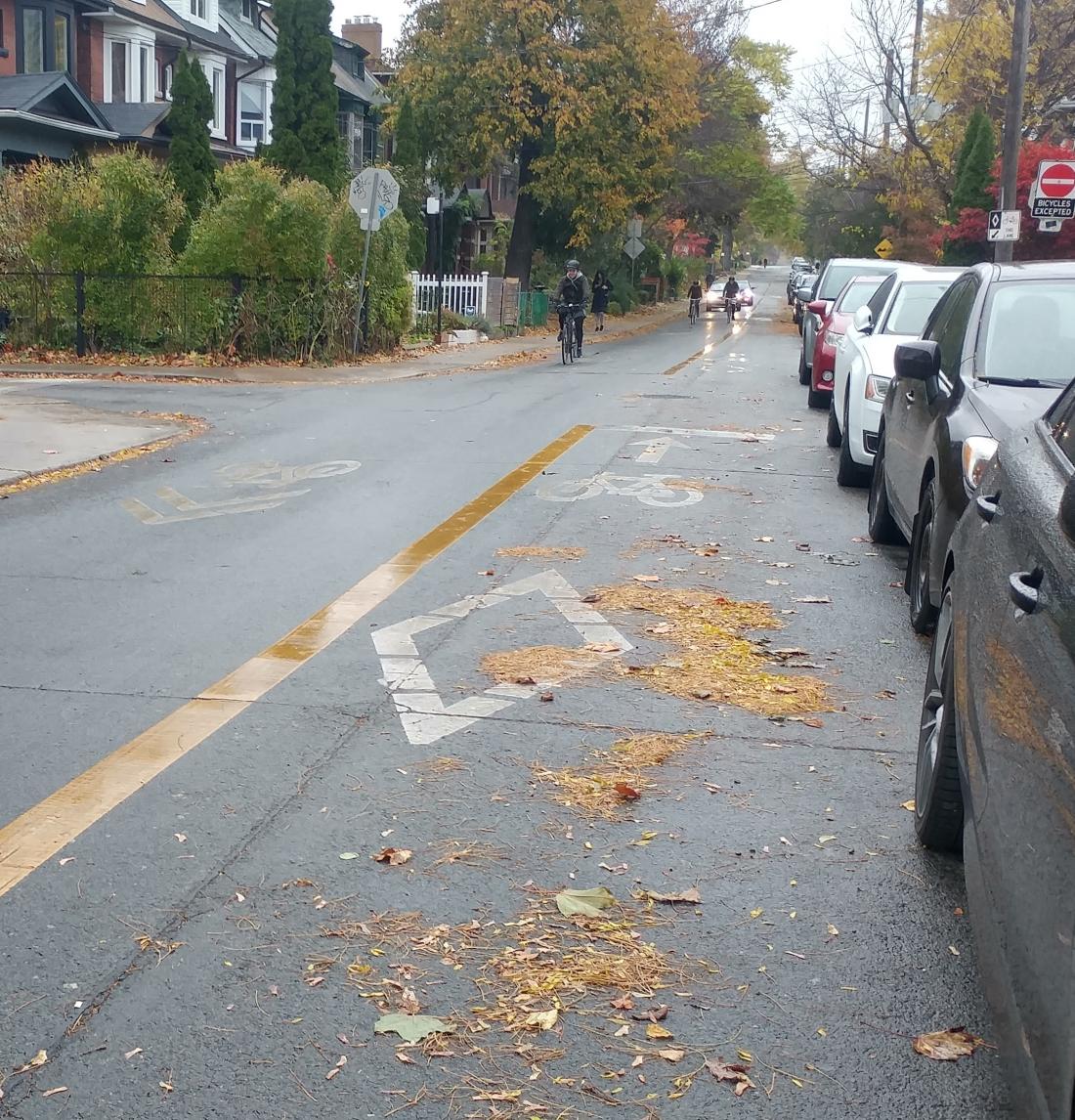 Leaves in a contraflow bike lane alongside parked cars.